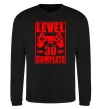 Світшот Level 30 complete з джойстиком Чорний фото