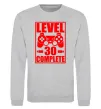 Світшот Level 30 complete з джойстиком Сірий меланж фото