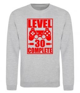 Світшот Level 30 complete з джойстиком