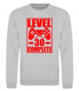 Свитшот Level 30 complete з джойстиком Серый меланж фото
