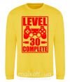 Світшот Level 30 complete с джойстиком Сонячно жовтий фото
