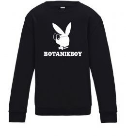 Детский Свитшот Playboy botanikboy
