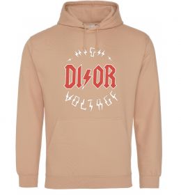 Мужская толстовка (худи) Dior ac dc