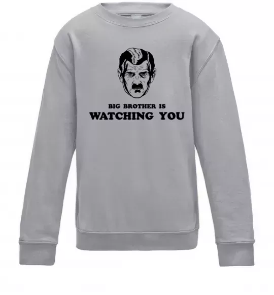 Дитячий світшот Big brother is watching you Сірий меланж фото
