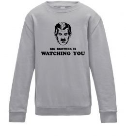 Детский Свитшот Big brother is watching you Детский Свитшот Big brother is watching you