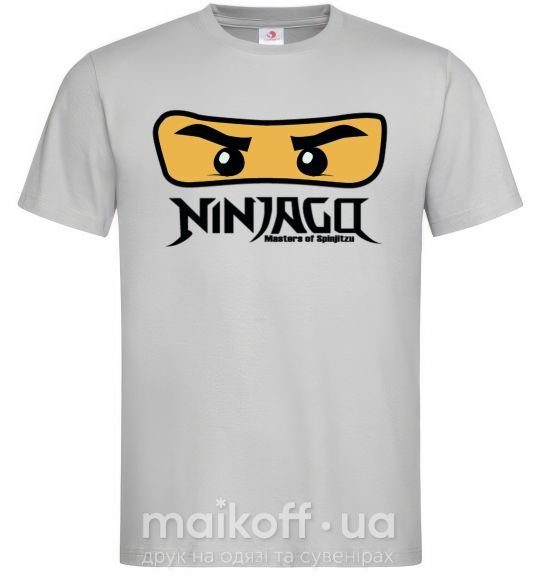 Мужская футболка Ninjago Masters of Spinjitzu Серый фото