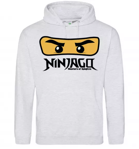 Мужская толстовка (худи) Ninjago Masters of Spinjitzu Серый меланж фото