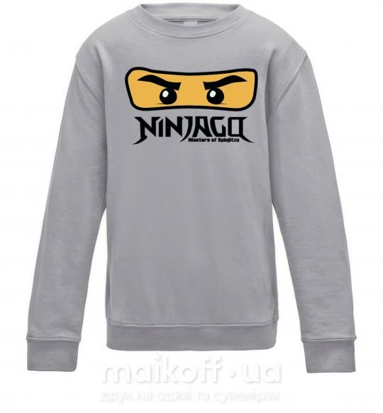 Детский Свитшот Ninjago Masters of Spinjitzu Серый меланж фото