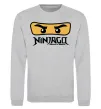 Свитшот Ninjago Masters of Spinjitzu Серый меланж фото