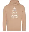 Чоловіча толстовка (худі) Keep calm the it guy is on the way Пісочний Чоловіча толстовка (худі) Keep calm the it guy is on the way Пісочний фото