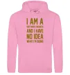 Женская толстовка (худи) I'm a software engineer Розовый фото
