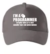 Кепка I'm programmer never wrong Сірий фото