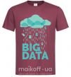 Чоловіча футболка Big data rain Бордовий фото