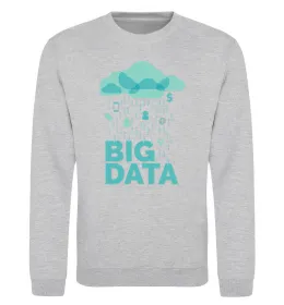 Свитшот Big data rain Серый меланж фото