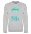 Свитшот Big data rain Серый меланж фото