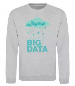 Свитшот Big data rain Серый меланж фото