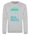Свитшот Big data rain Серый меланж Свитшот Big data rain Серый меланж фото