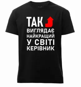 Мужская премиум футболка