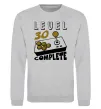 Свитшот Level 30 complete Серый меланж фото