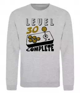 Свитшот Level 30 complete Серый меланж фото