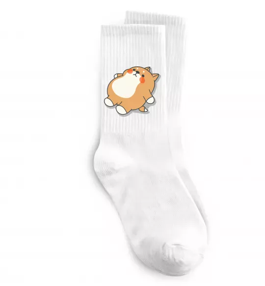 Шкарпетки Хаскі засумував Білий фото