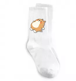 Носки Хаскі засумував Белый фото