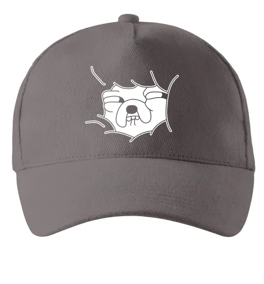 Кепка Радісний Джейк Серый фото