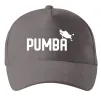 Кепка Pumba jump Серый фото