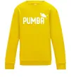 Детский Свитшот Pumba jump Солнечно желтый фото