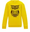 Детский Свитшот Сова бохо Солнечно желтый фото