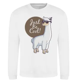 Світшот A Alpaca Сірий меланж фото