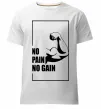 Мужская премиум футболка Stay strong no pain no gain Белый фото
