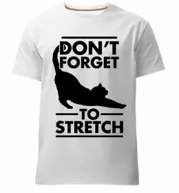 Мужская премиум футболка