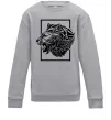 Детский Свитшот Тигр рамка чорний Серый меланж фото