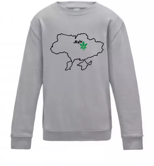 Детский Свитшот Киянин Серый меланж фото