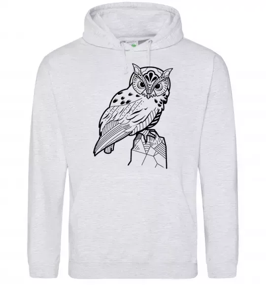 Мужская толстовка (худи) Сова на скелі Серый меланж фото