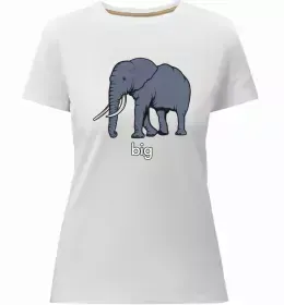 Жіноча преміум футболка