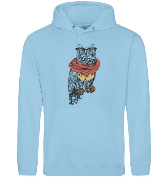 Мужская толстовка (худи) Owl style Голубой фото