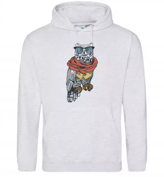 Жіноча толстовка (худі) Owl style Сірий меланж фото