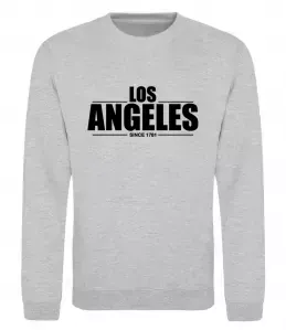 Світшот Світшот