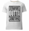 Чоловіча преміум футболка Straight outta Sevastopol Білий фото