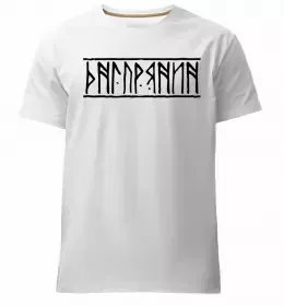 Мужская премиум футболка