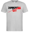 Мужская футболка Zaporizhzhia city Серый фото