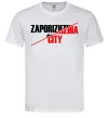 Мужская футболка Zaporizhzhia city Белый фото