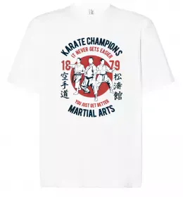 Футболка Оверсайз Еволюція тхеквондо Белый фото