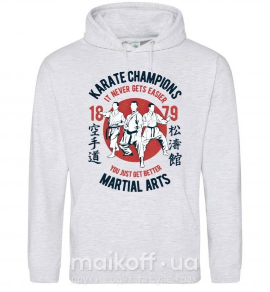 Мужская толстовка (худи) Karate Champions Серый меланж фото