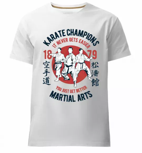 Мужская премиум футболка Karate Champions Белый фото