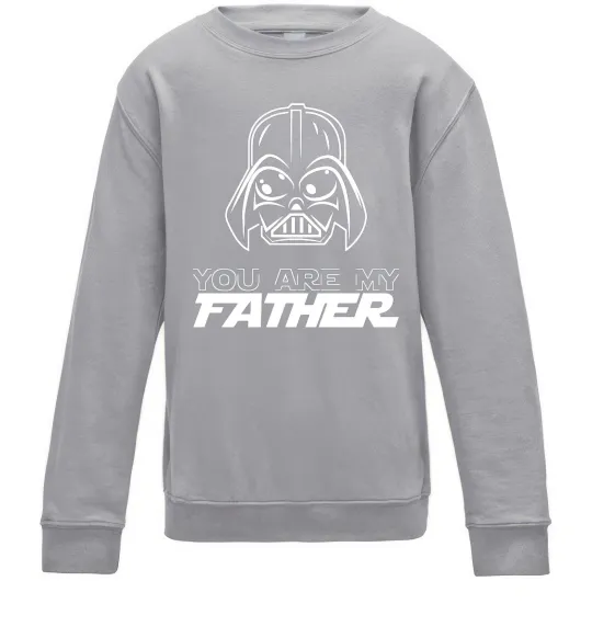 Дитячий світшот You are my father Darth Сірий меланж фото