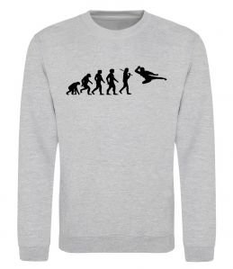 Свитшот Еволюція тхеквондо