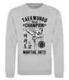 Свитшот Taekwondo World Серый меланж Свитшот Taekwondo World Серый меланж фото
